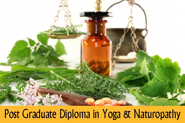 Diploma in Yoga & Na...