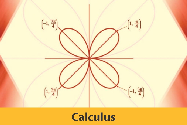 Calculus ( Only Study Material) 