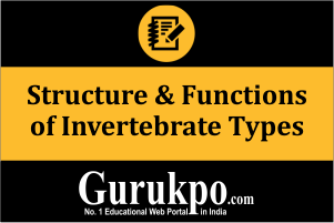 Structure & Functions of Invertebrate Types (Only Study Material) 